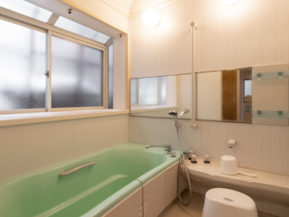 {{brizy_dc_image_alt imageSrc=